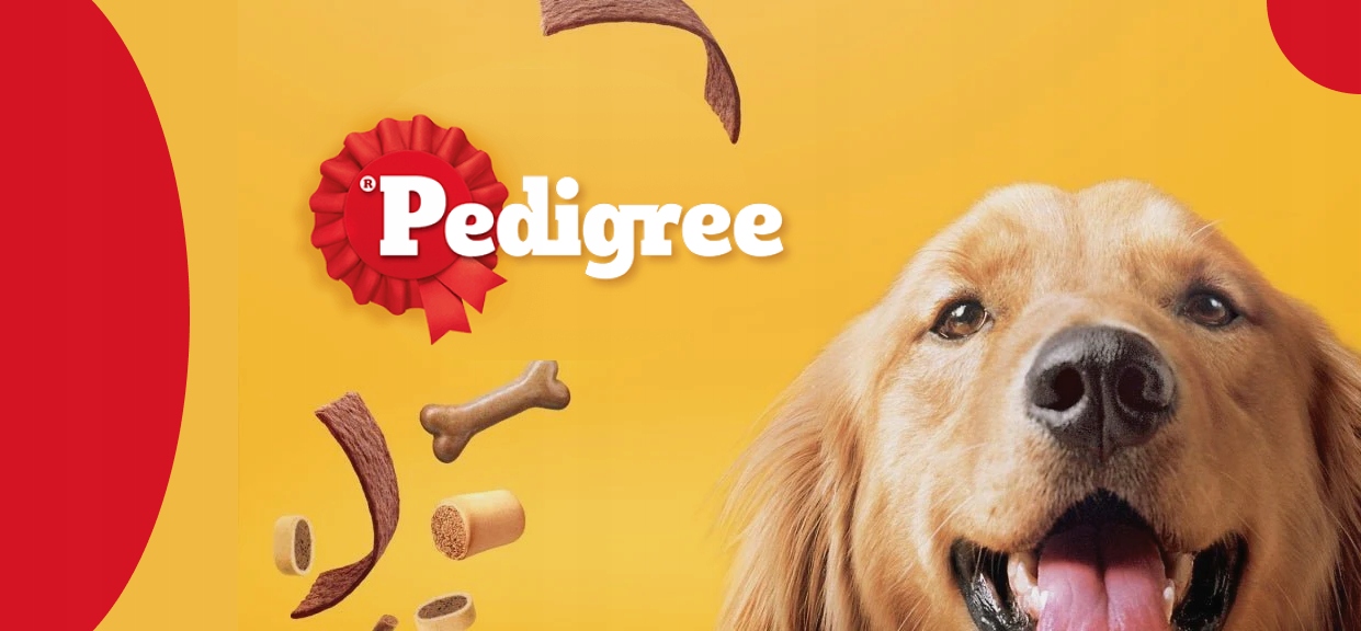 PEDIGREE DENTASTIX PRZYSMAKI DLA PSA ŚREDNIE RASY 4X180 G Rodzaj gryzaki