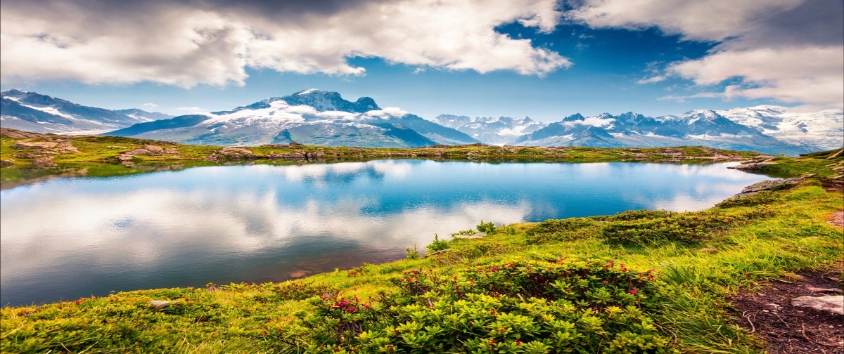 

Fototapeta Flizelinowa Mont Blanc 250x104