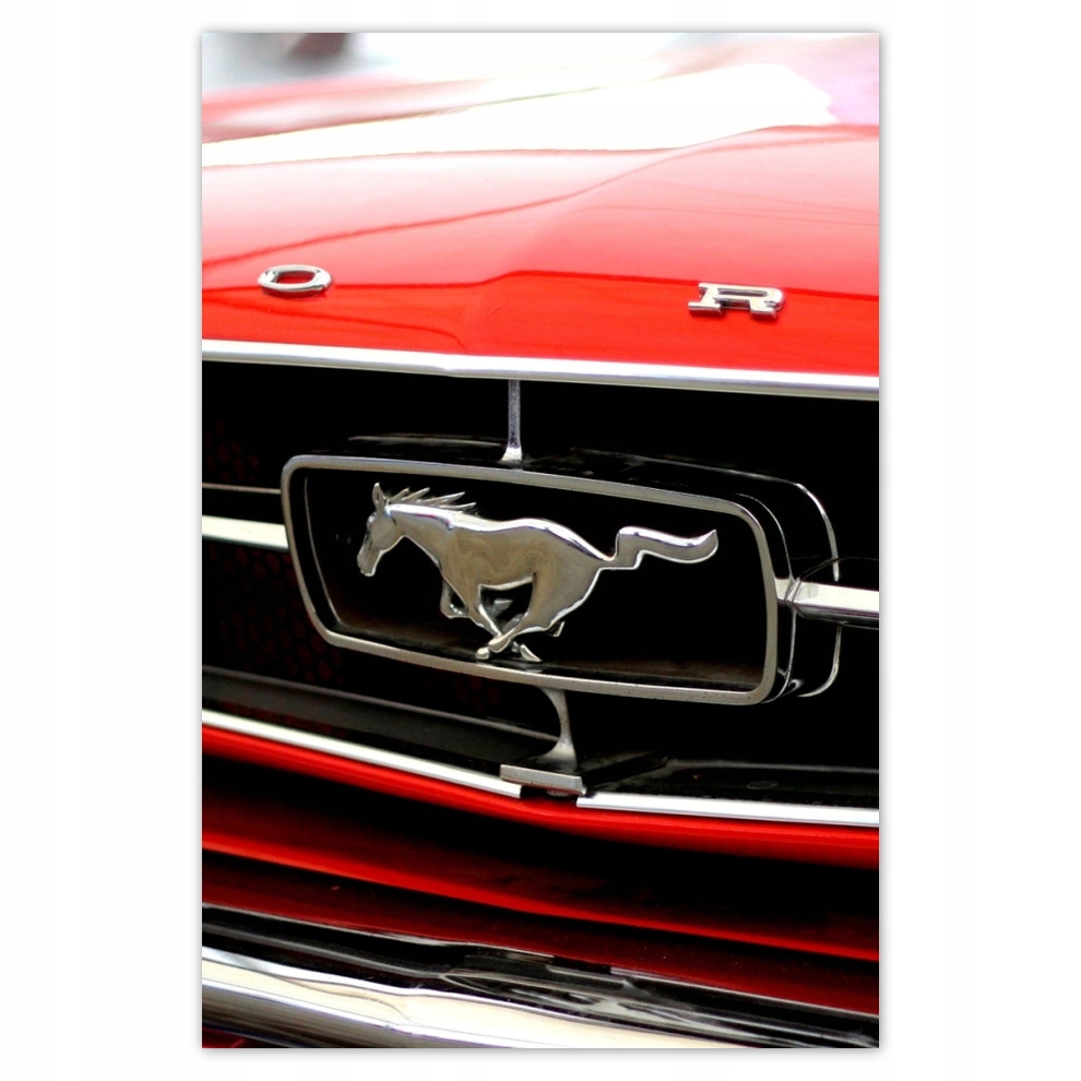 

Plakaty 62x93 Grill Forda Mustanga