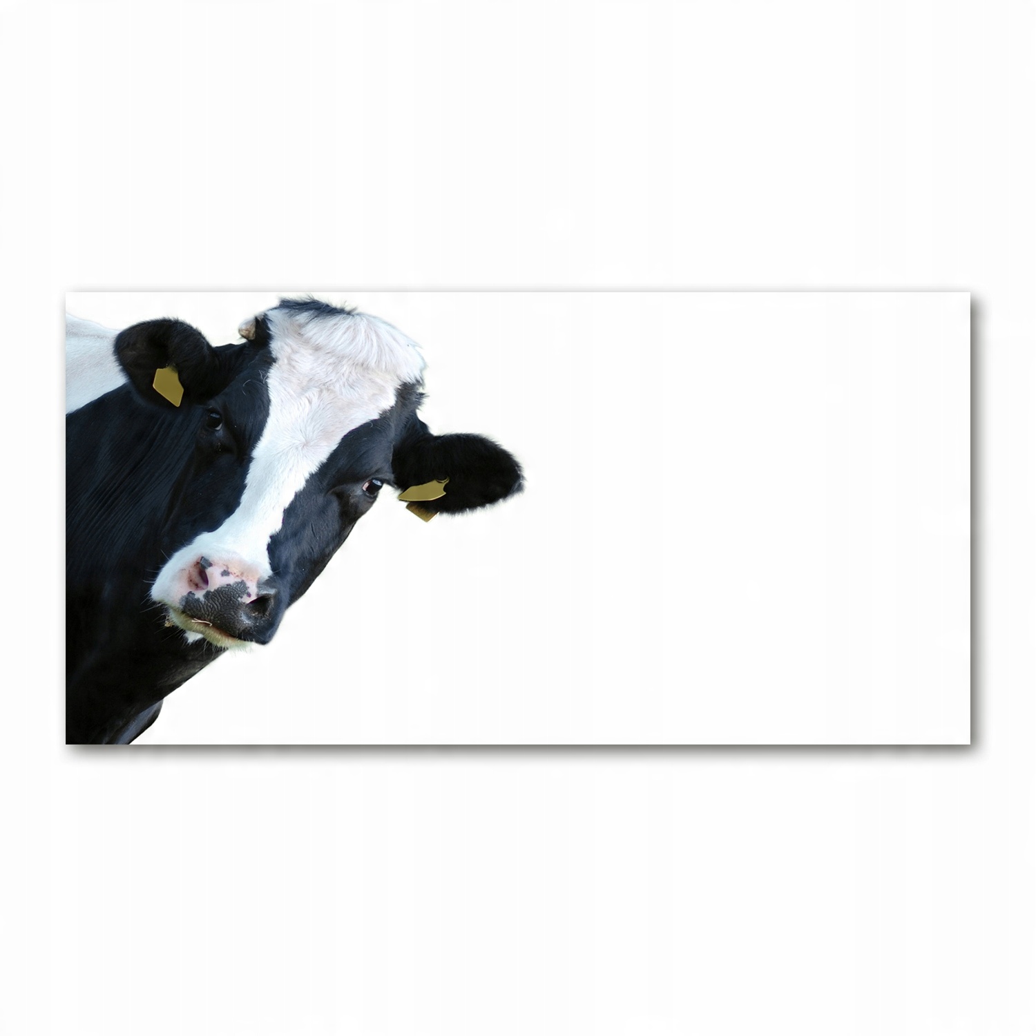 

Foto obraz duży na szkle akrylowym Krowa 120X60 cm