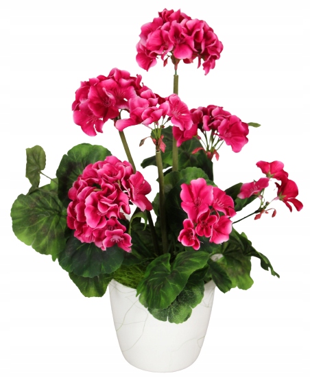 

Pelargonia Sztuczna Kompozycja Balkon Ogród