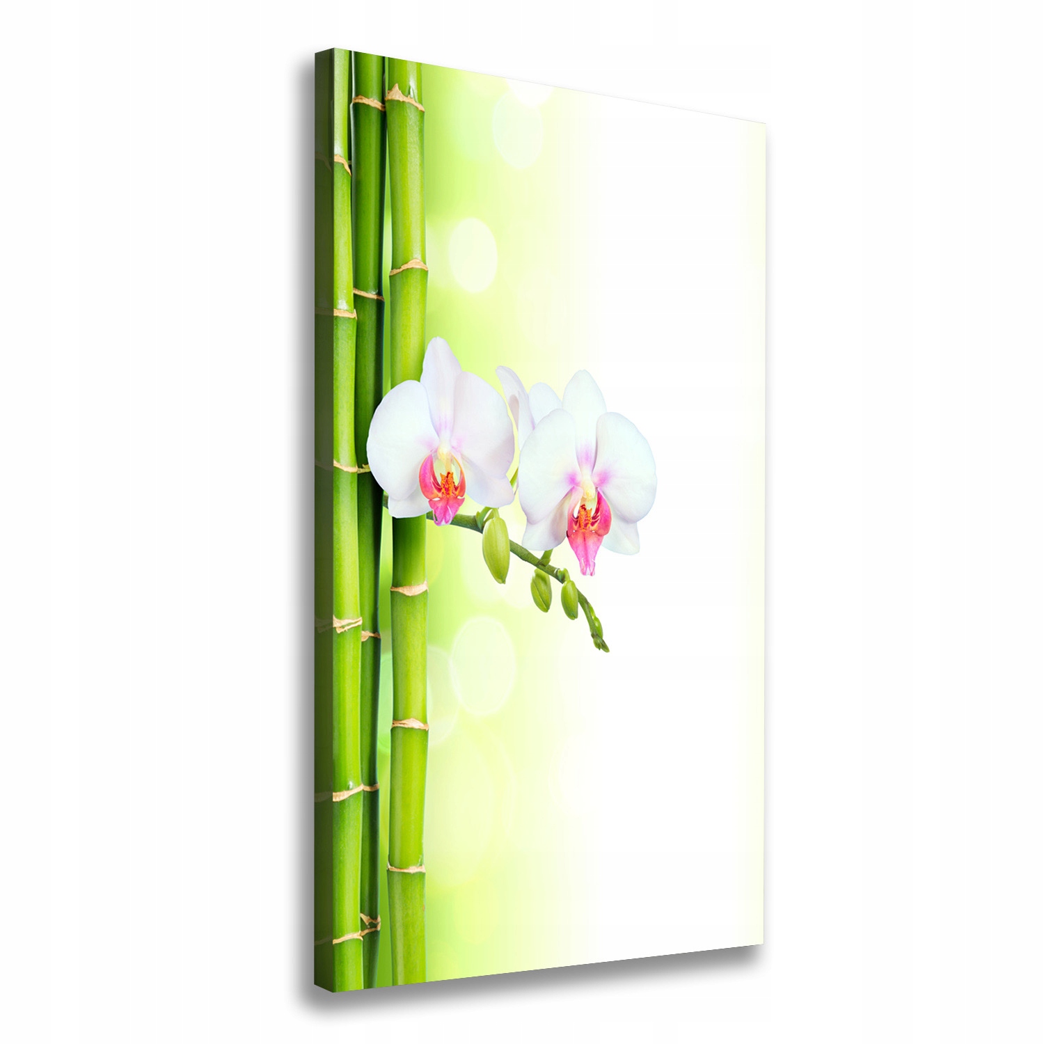 

Foto obraz na płótnie Orchidea i bambus 60x120 cm