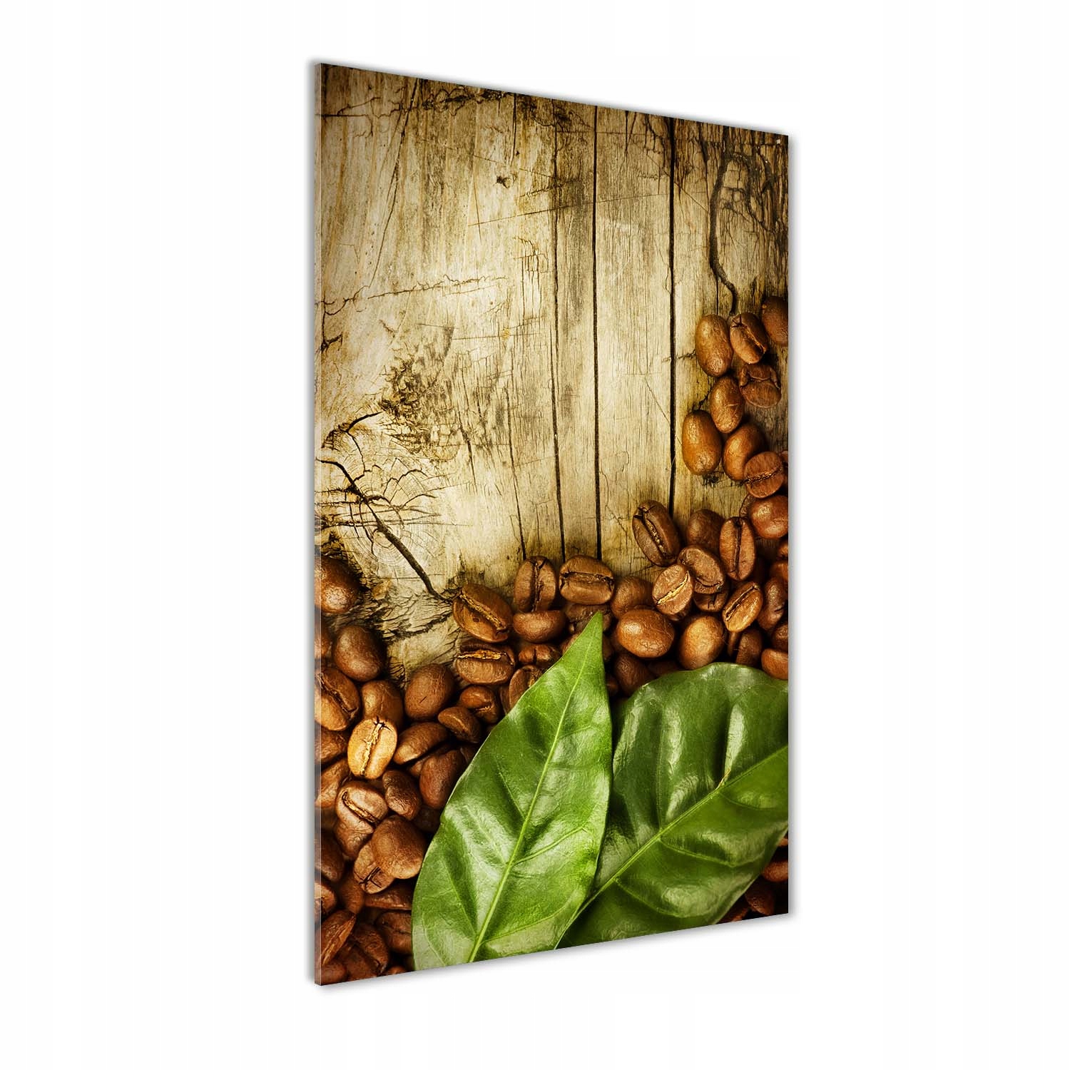 Fotoobraz tvrzené sklo Kávová zrna 50 x 100 cm