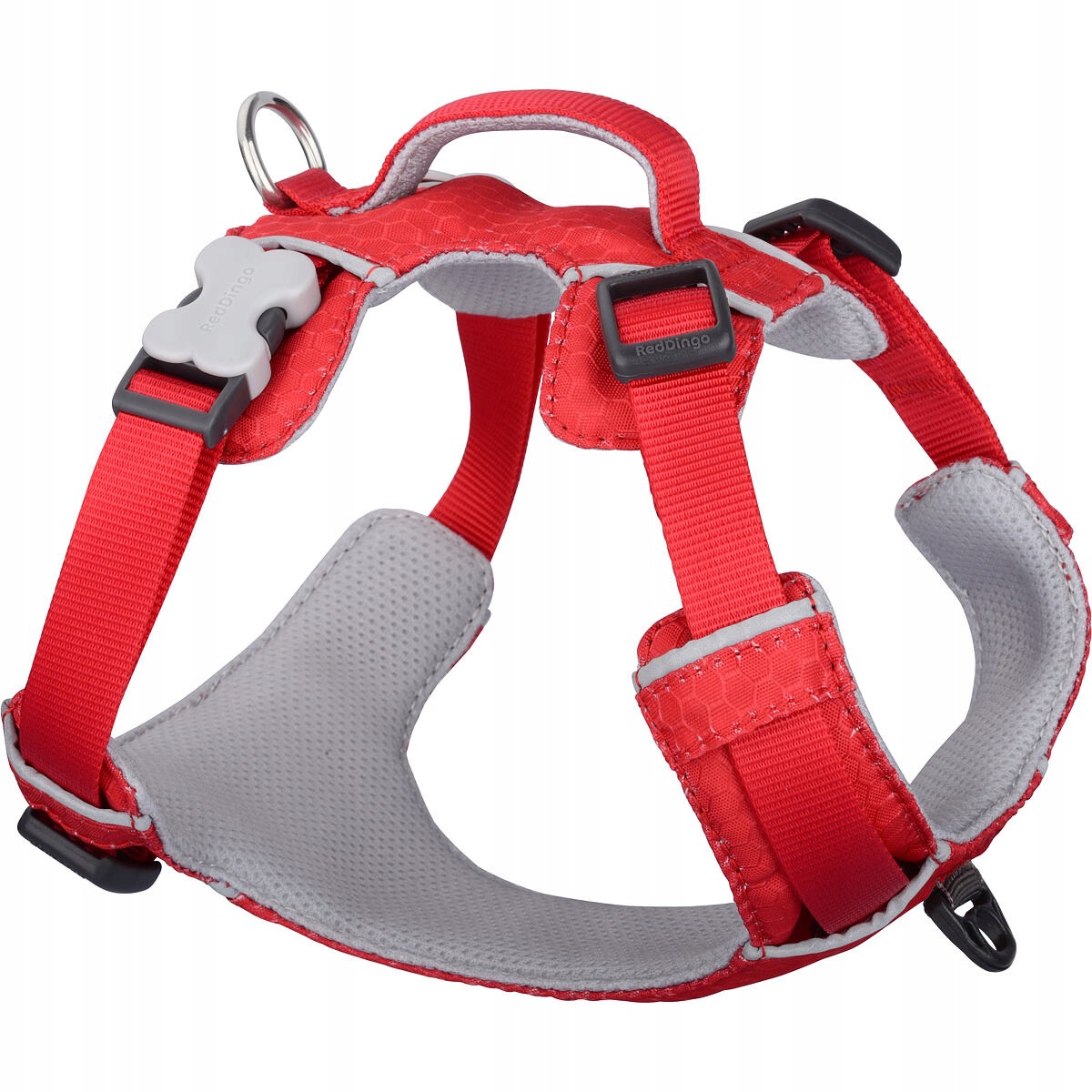 Red Dingo postroj Sport Red 25 mm x 58-81 cm