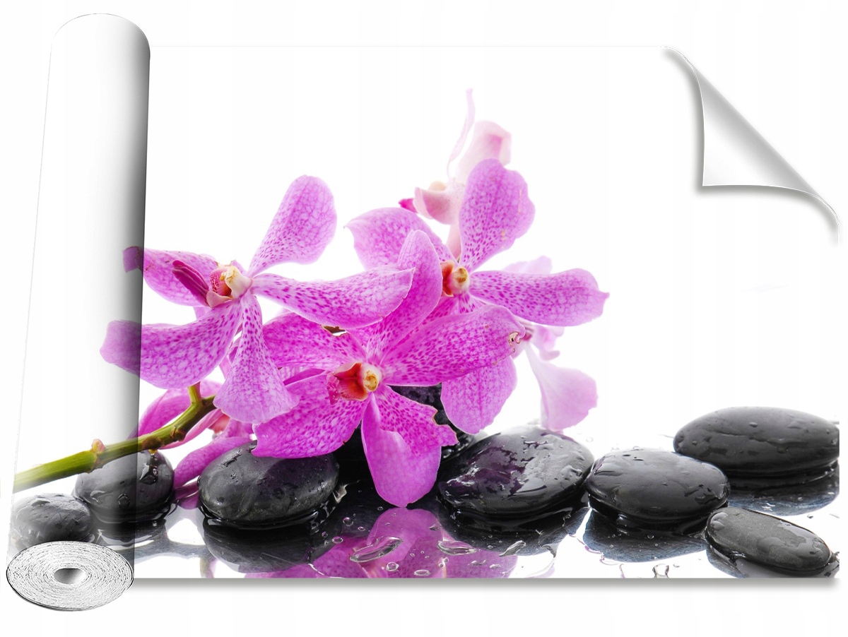

Tapeta Samoprzylepna Różowa orchidea 152x104