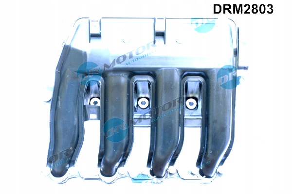 Dr.motor Automotive Sací Kolektor Bmw 1 3 5 X 3 04 2.0D