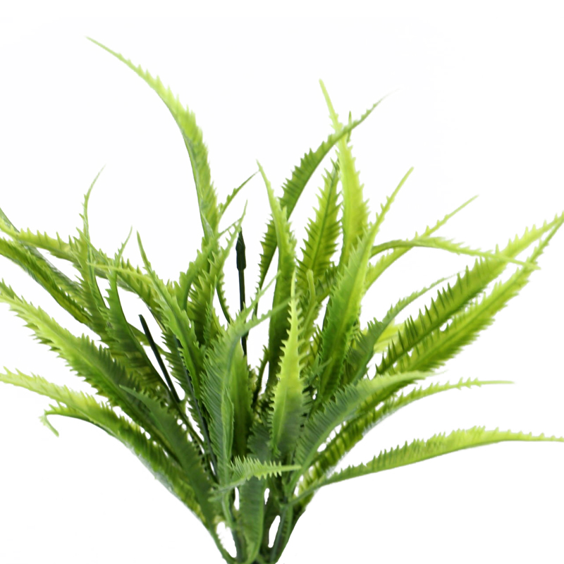 

Dracena Trawa Ostrokrzew Zielony Wystrój Terrarium