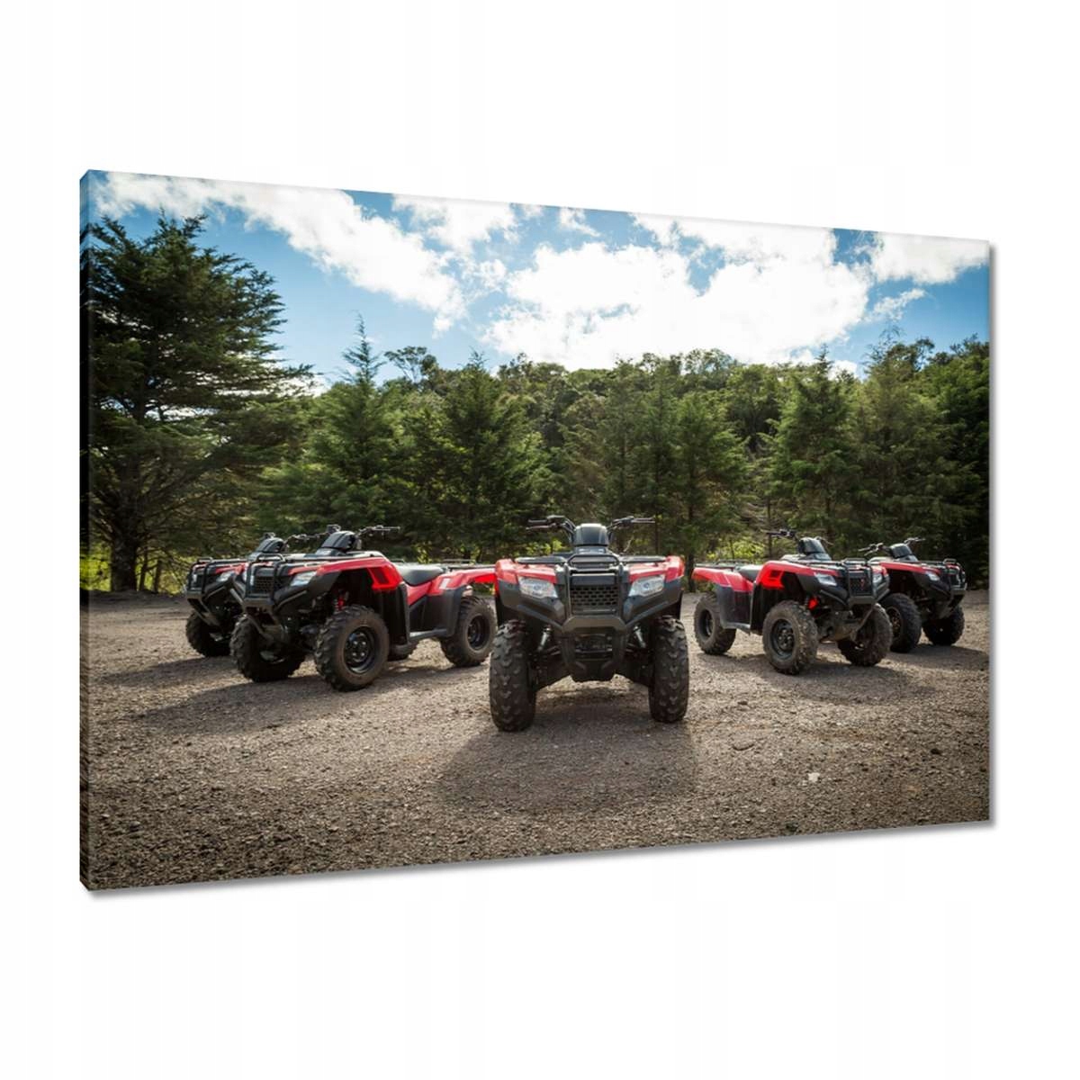 Obrazy 100x70 Quad Čtyři kolečka Terén