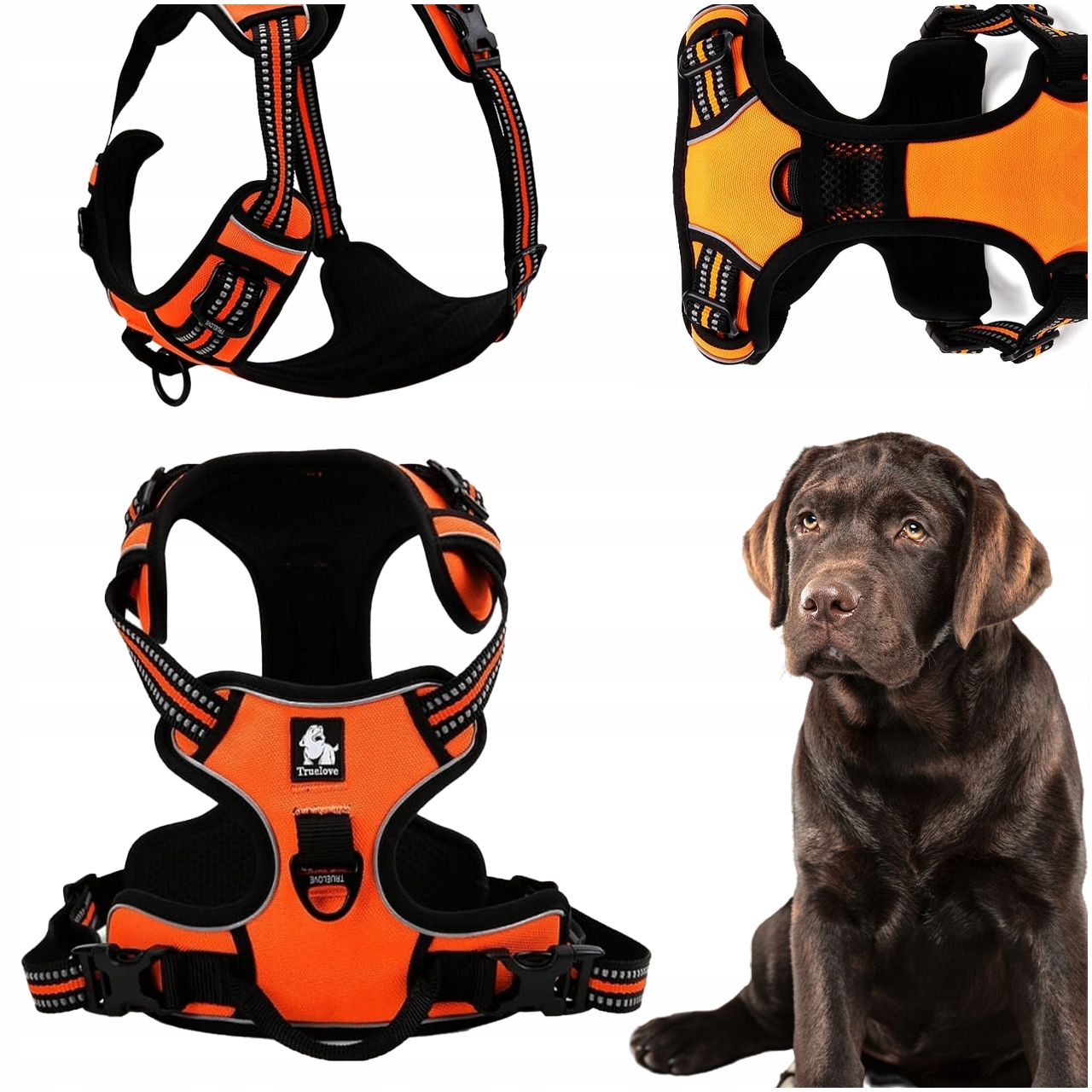 Obojky Pro Psa Truelove Easy Walk Silné Odolné Reflexní Oranžové XL