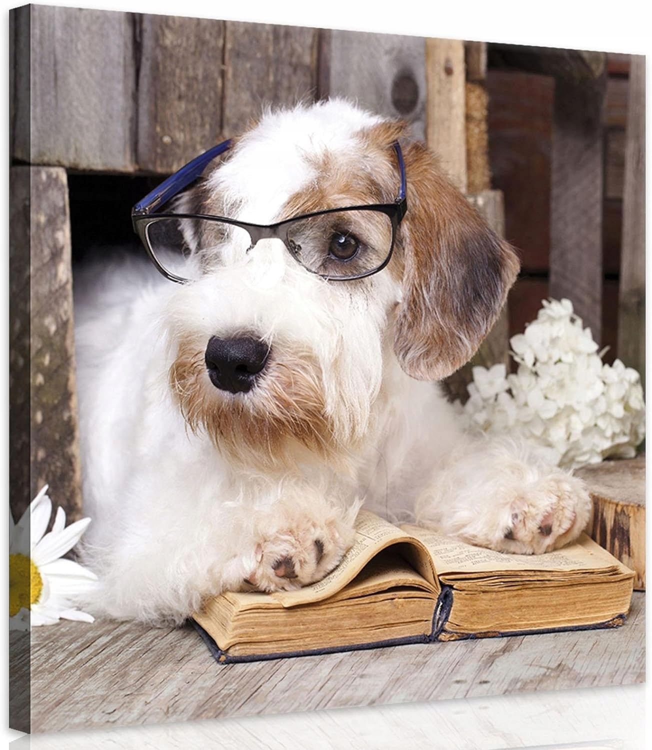 Obraz 80x80 Pes v brýlích Umění s humorem v kuchyni Realismus a květiny