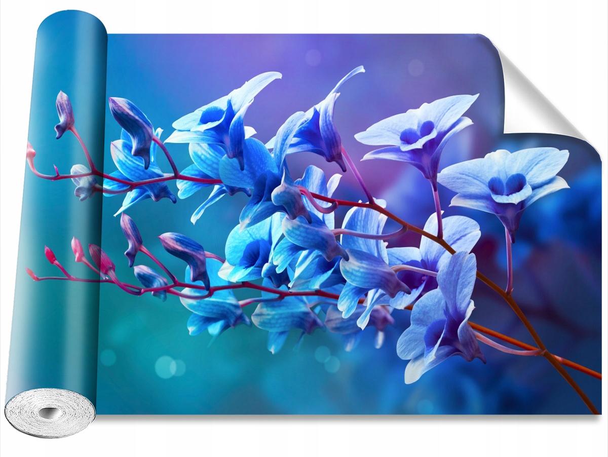 

Tapeta Samoprzylepna Orchidea Niebieski 208x146