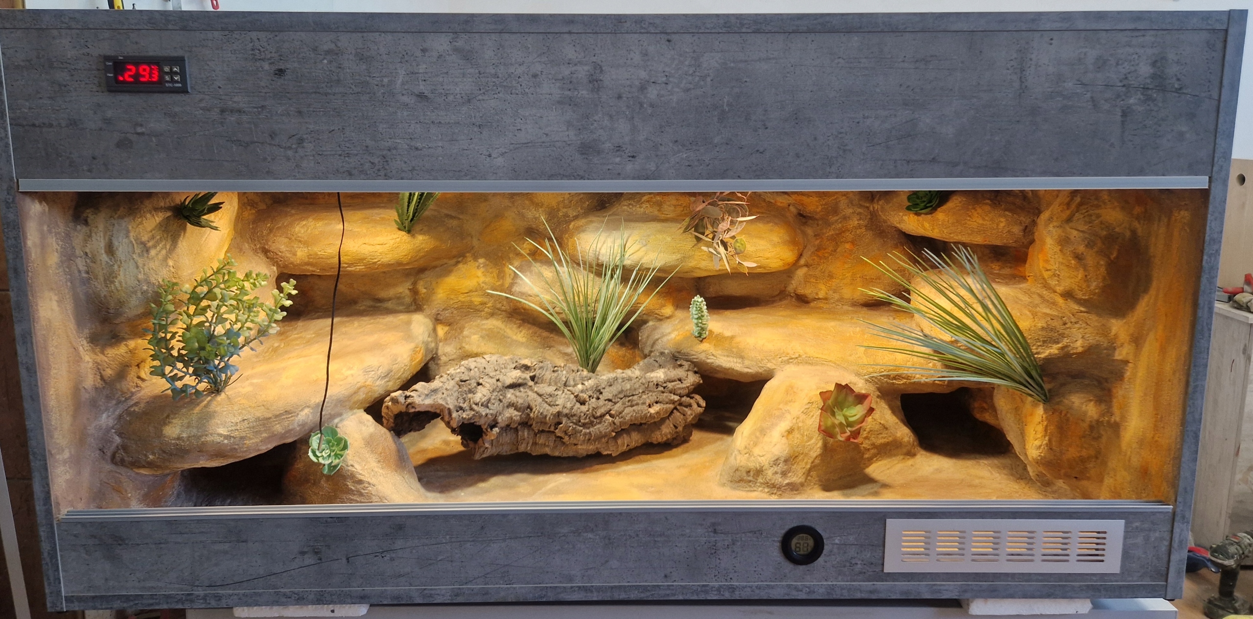 Terárium 150x60X60 Pro Agam Na Zakázku S Vybavením A Aranžováním