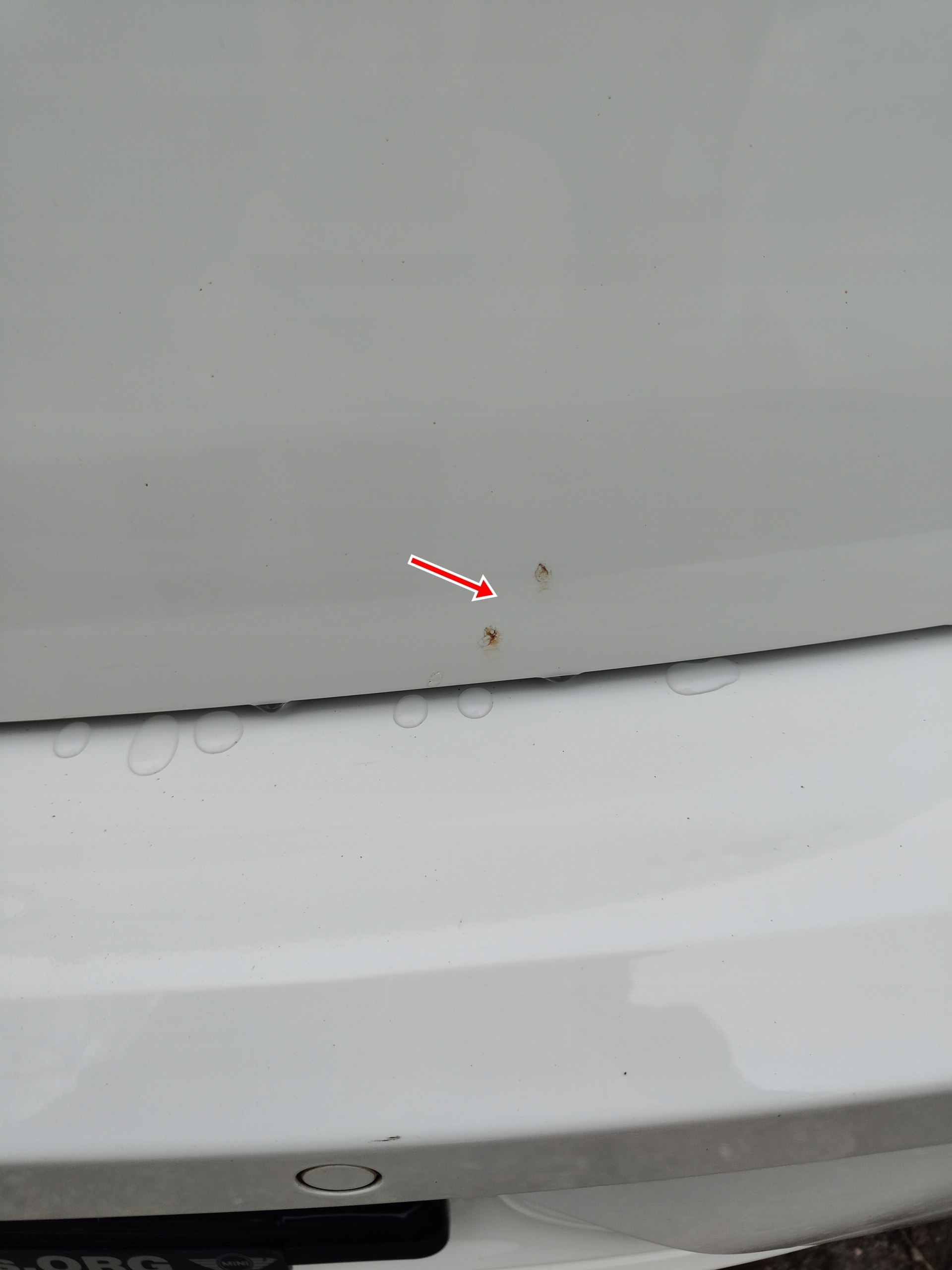 BMW F20 14R HB trunk door boot rear part 300