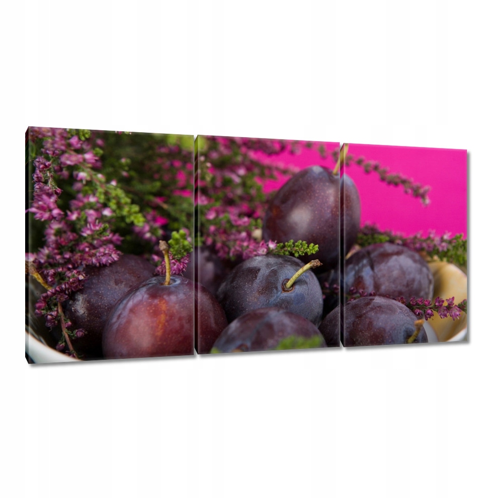 

Obrazy 120x60 Śliwki węgierki