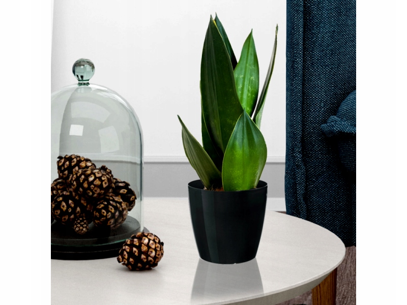 Doniczka Donica Osłonka Magnolia Gładka śr.12cm Biała Kod producenta LA200-05