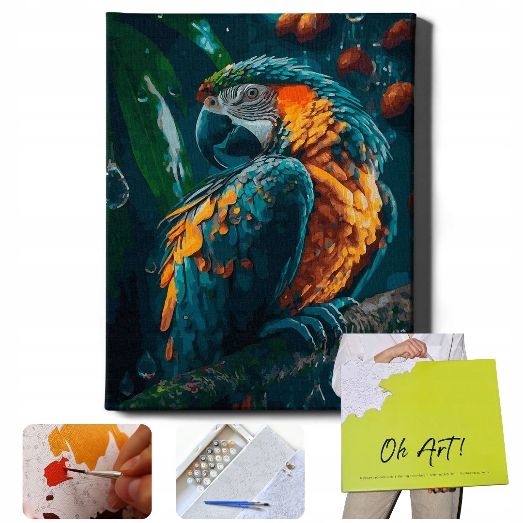 Obrázky pro malování podle čísel s Rámem Malování podle čísel Kreativní