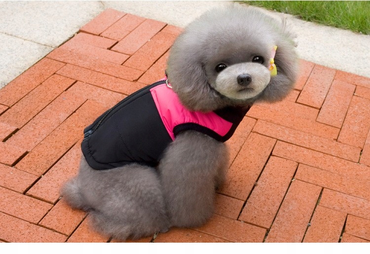 Bunda Pro Středního Psa Se Zipem Hello Moon Černo-růžová, Velikost 18