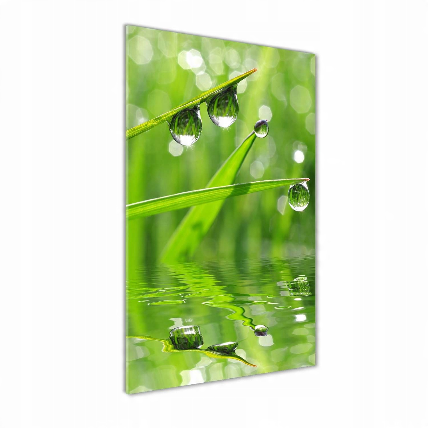 

Foto obraz szkło hartowane Źdźbła trawy 60x120 cm