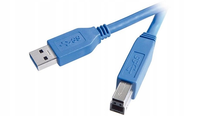 Kabel / Przewód Vivanco USB 3.1 USB A - USB B 5Gbit/s 0,3m Jakość VIVANCO
