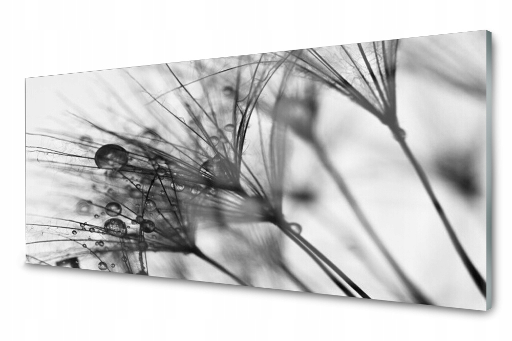 

Panel szklany do kuchni Abstrakcja Roślina 125x50