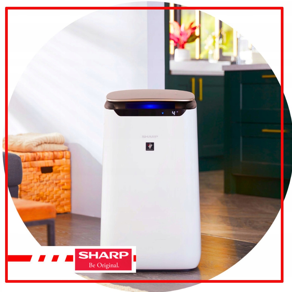 Oczyszczacz powietrza SHARP z JONIZACJĄ FP-J60EUW dla alergików HEPA +ebook Stan opakowania oryginalne