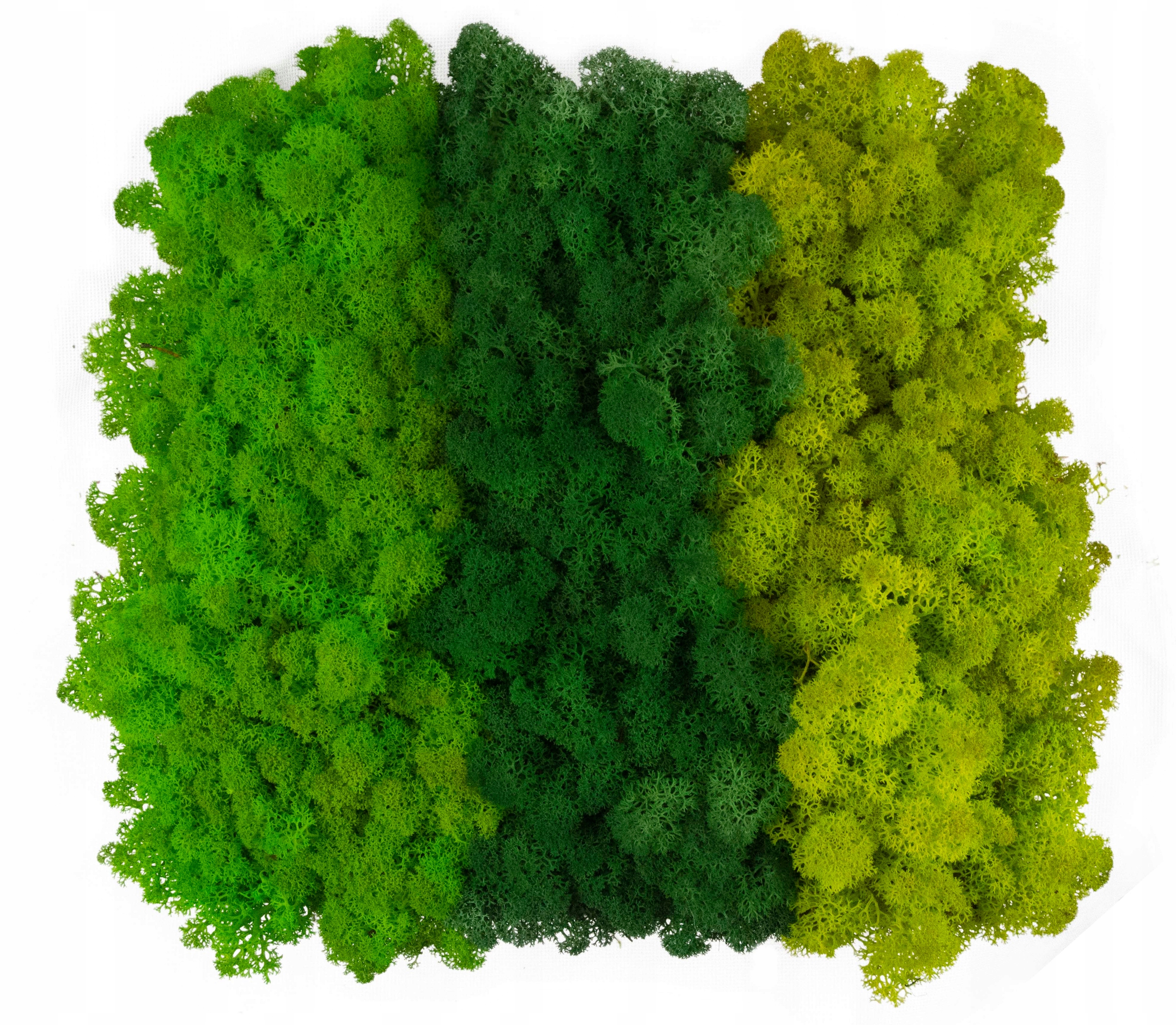 PREMIUM Mech Chrobotek Reniferowy MIX 3 KOLORY 500