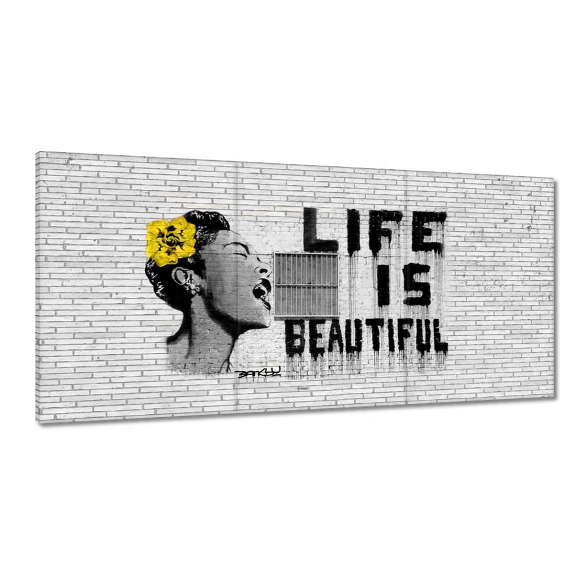 Obrazy 120x60 Banksy Life jsou krásné