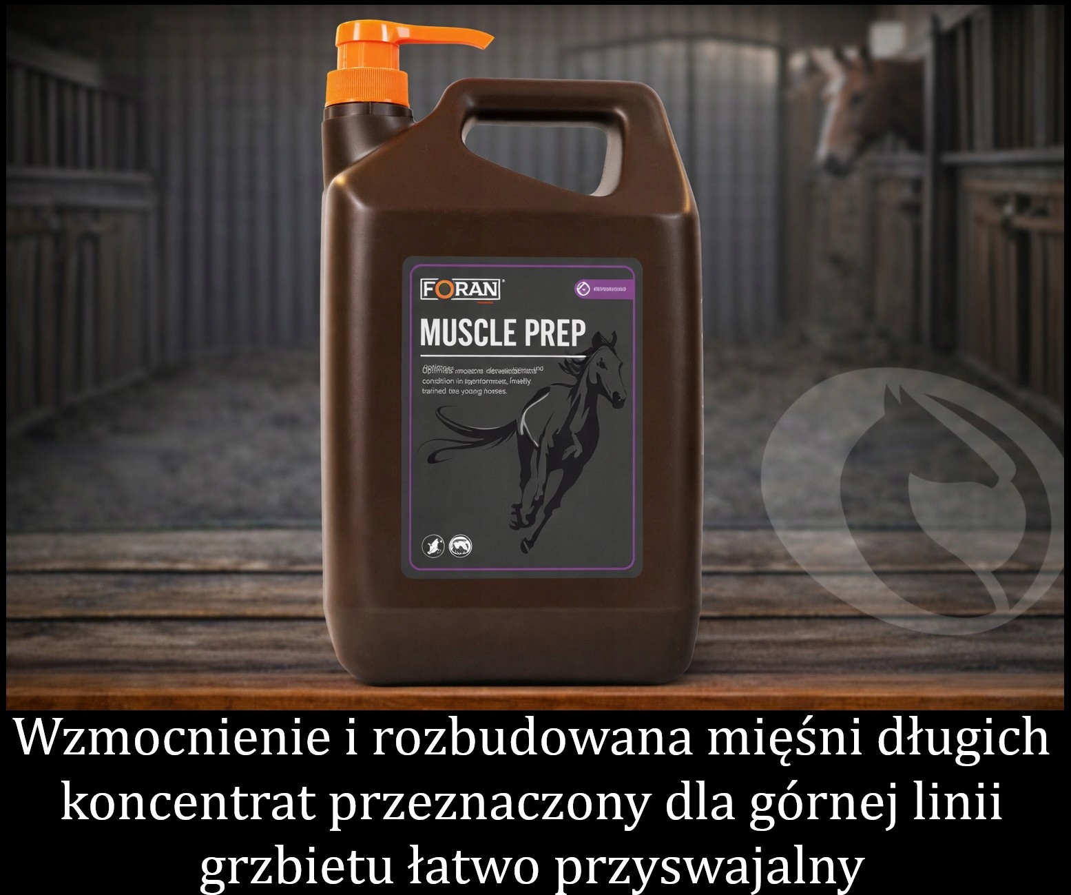 Foran rozbudowa grzbietu Muscle Prep rozwój mięśni górnej linii Top Line 5L