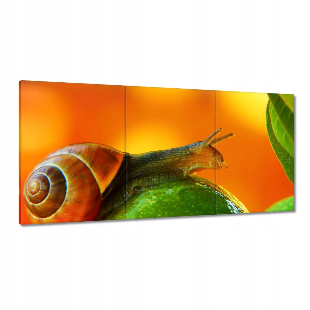 Obrazy 180x90 Zvieratá Zvieratká