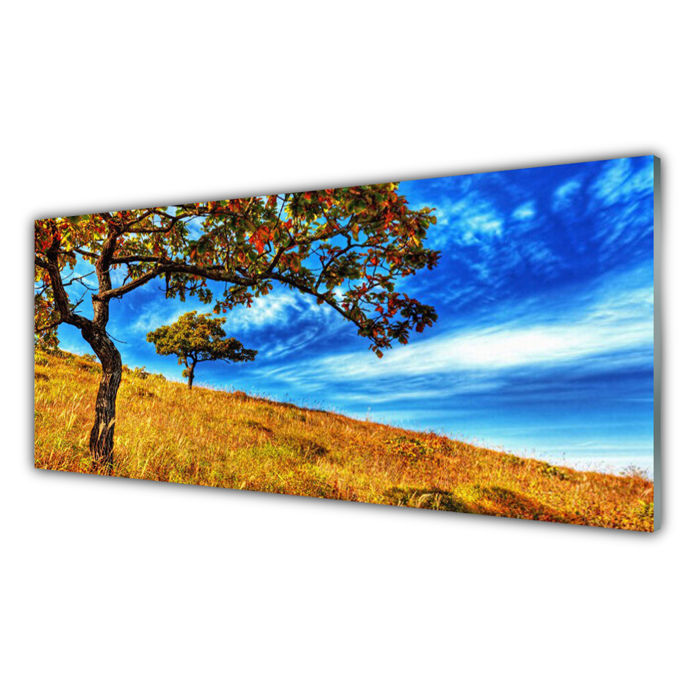 

Fotoobraz akryl 125x50 Łąka Drzewo Natura Roślina