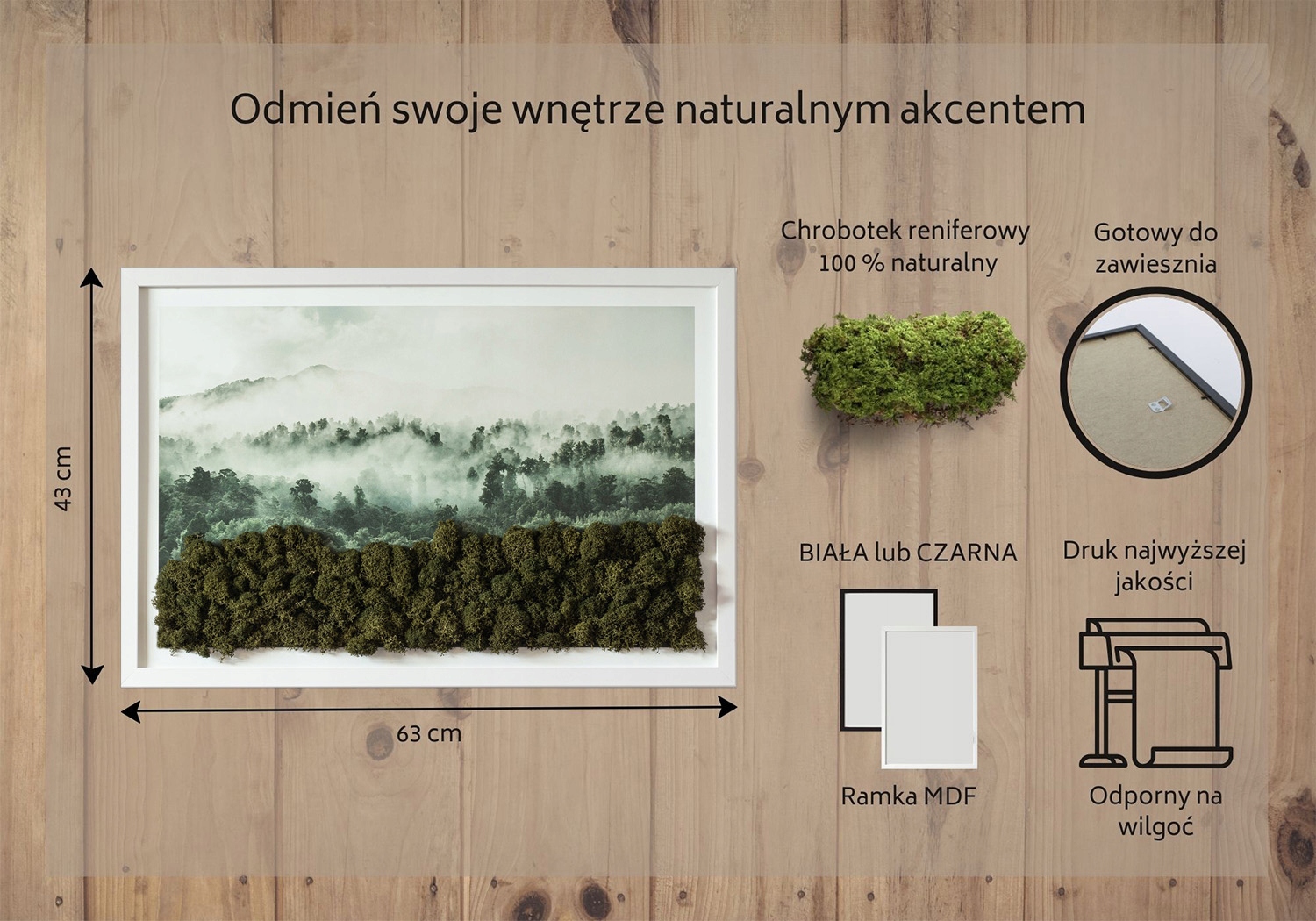 Obraz mech chrobotek prezent Las we mgle 60x40 Szerokość produktu 60 cm