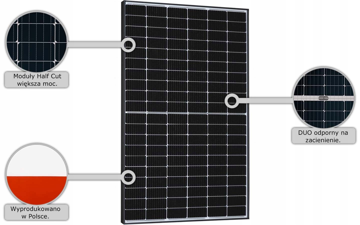 65bdc72d45f2b7f226a7ea3053dd