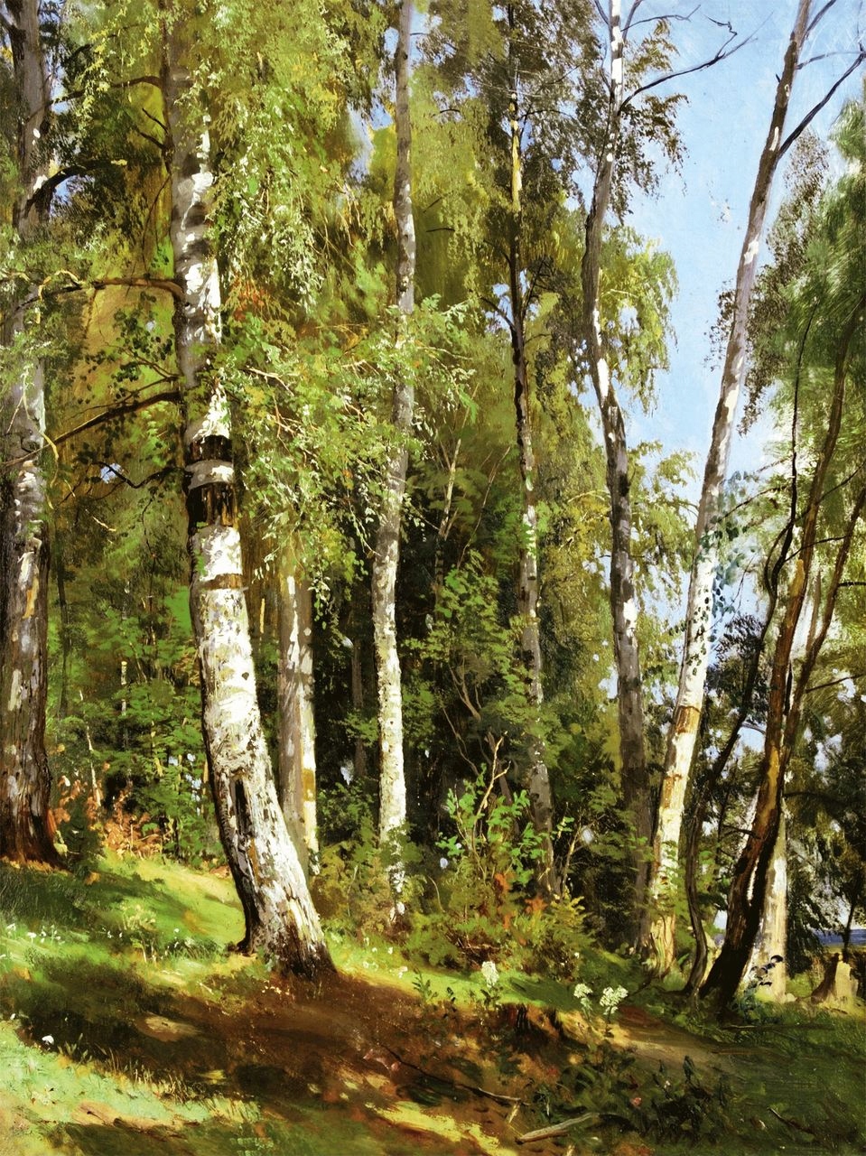 Ivan Shishkin - Brzozowy las - 80x60