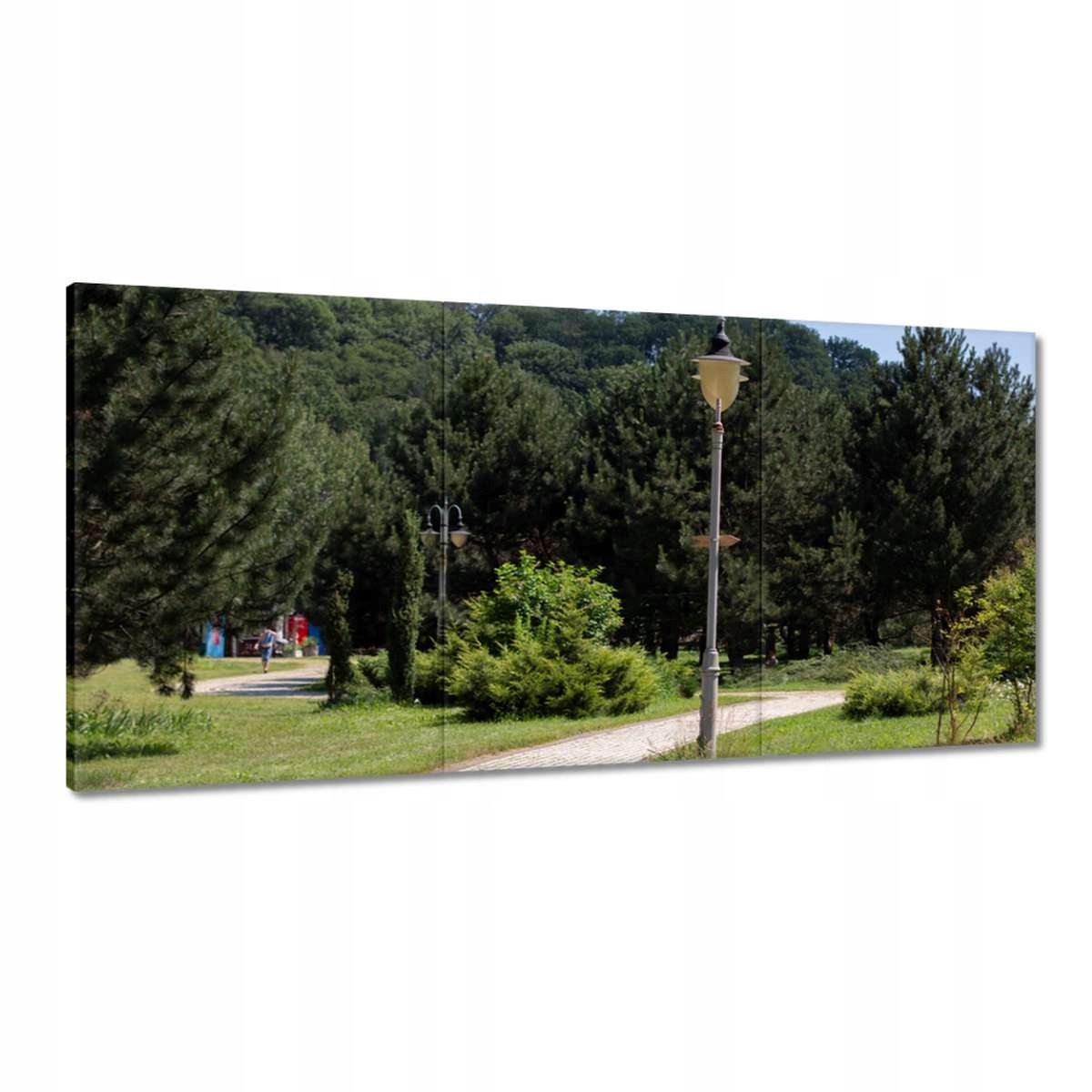 Obrazy 180x90 Zelený park so stromami