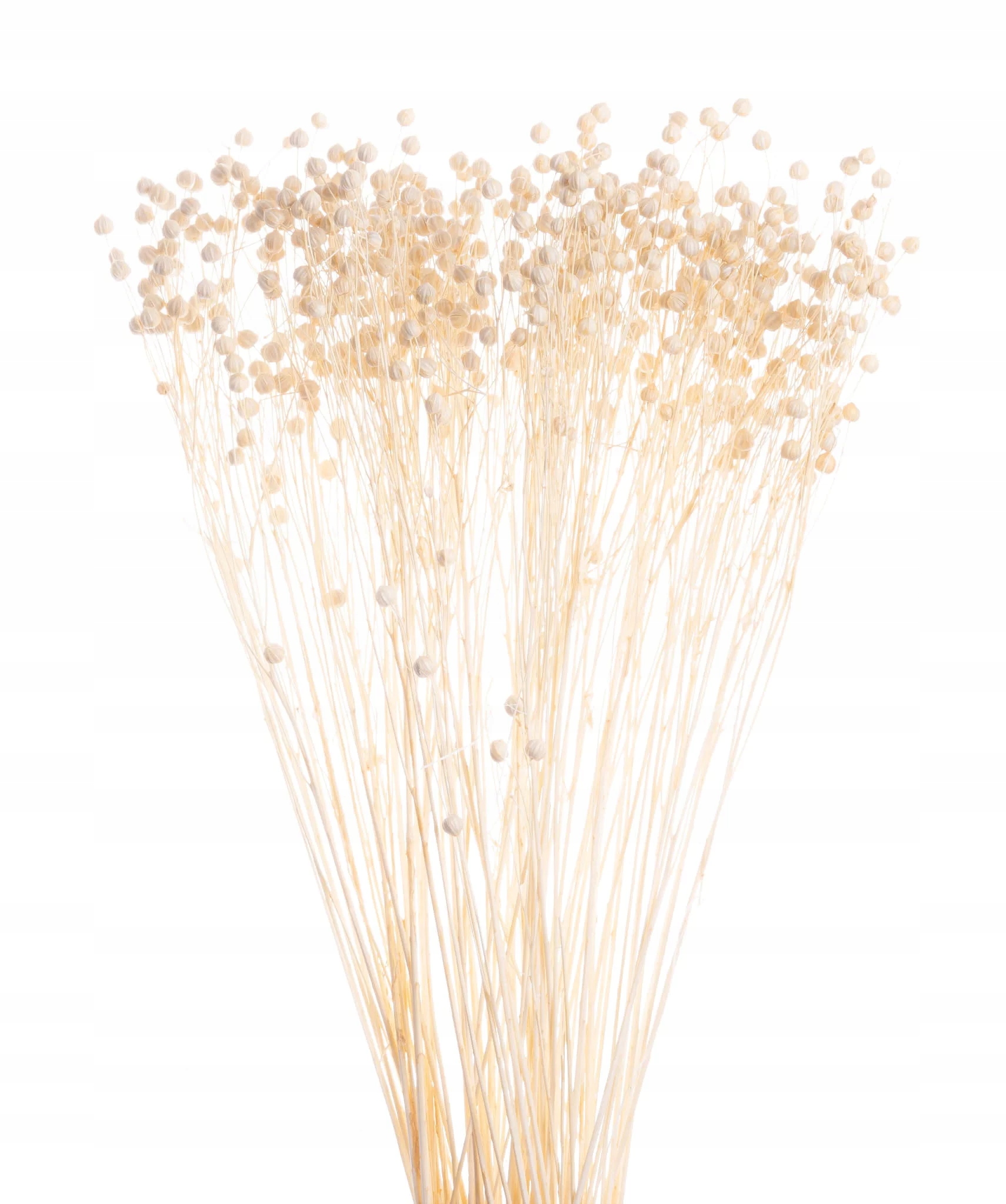 

Suszone kwiaty tort Suszki Len naturalny 10 gałąz