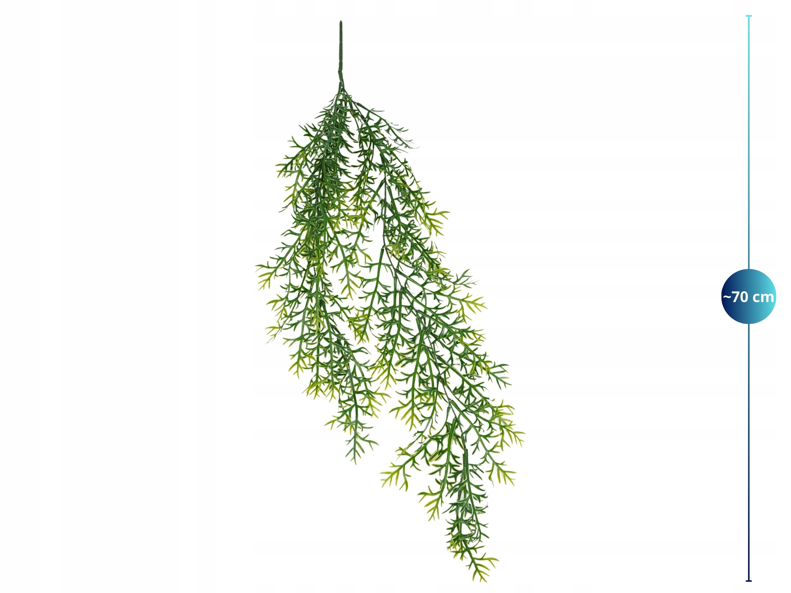 ASPARAGUS ZWISAJĄCA ROŚLINA SZTUCZNY GĘSTA DŁUGA 70cm WESELE ZIELONE ŚCIANY Stan opakowania oryginalne