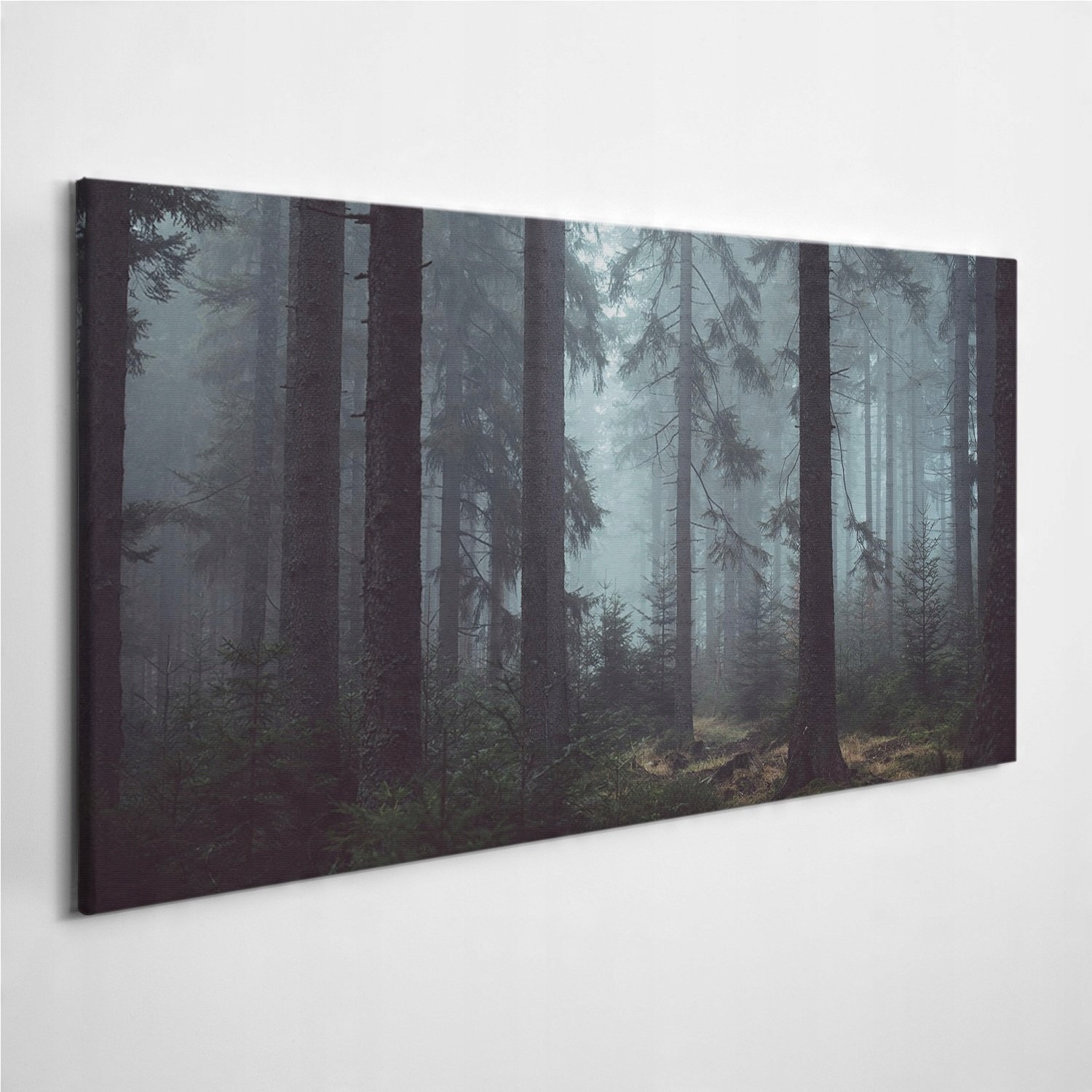 

Foto-obraz na płótnie Krajobraz Mgła Las 140x70 cm
