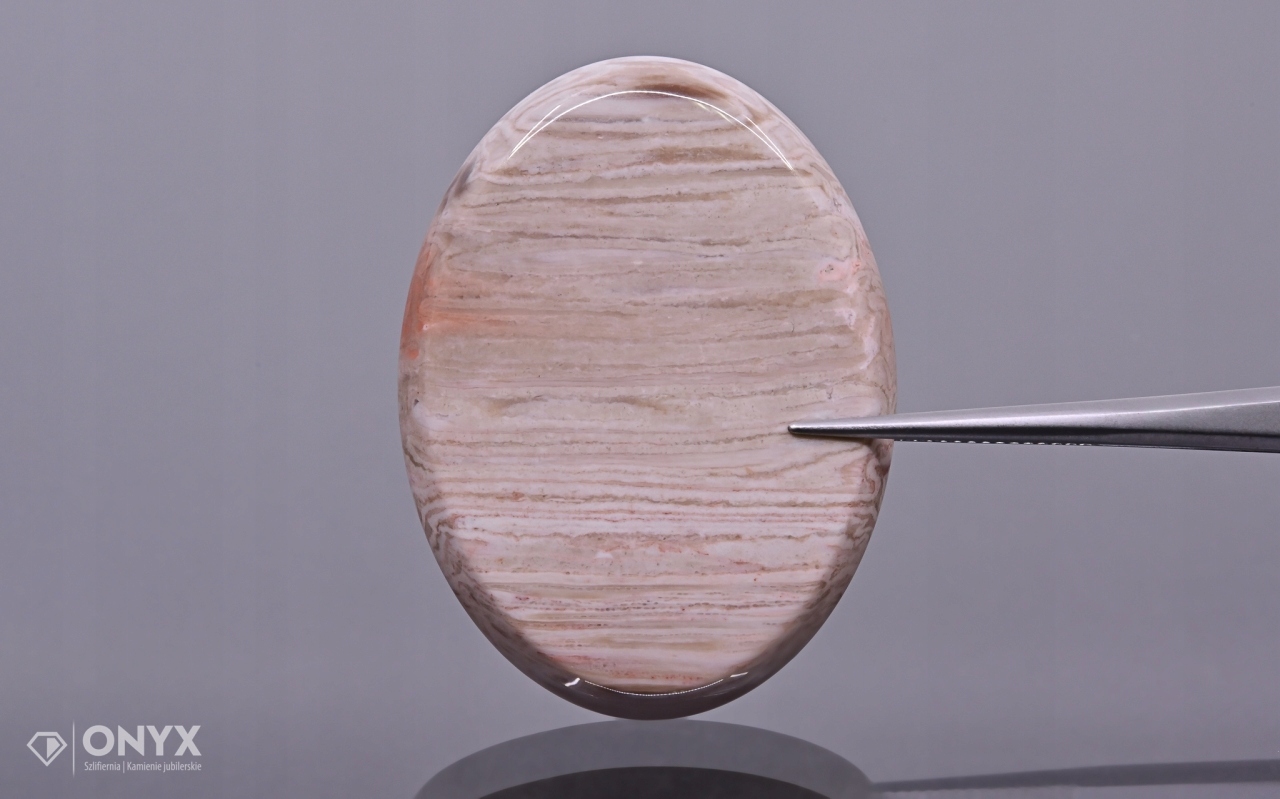 Zkamenělá palma konvexní mělká ovál 40x30 mm