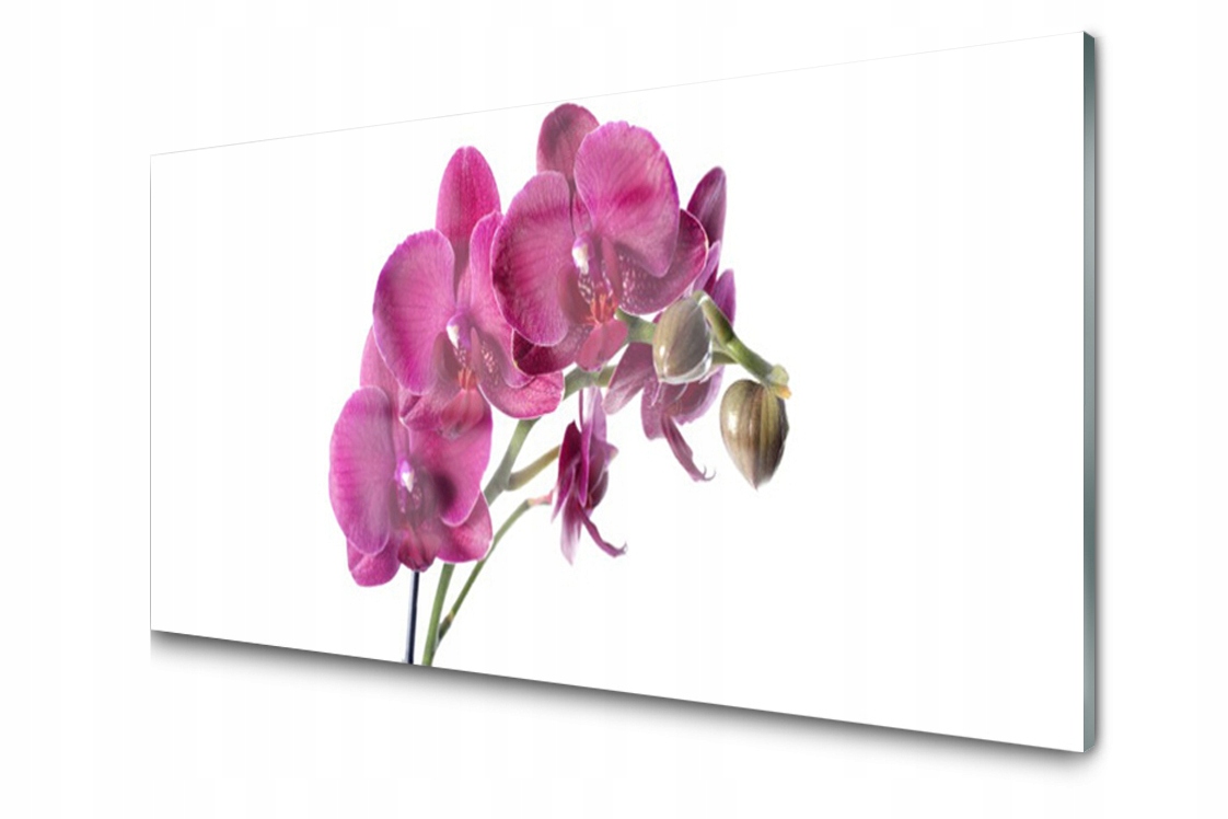 Sklenený panel Doska Orchidea Kvety 100x50