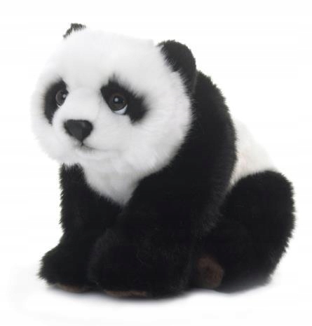 

Panda 23cm Wwf