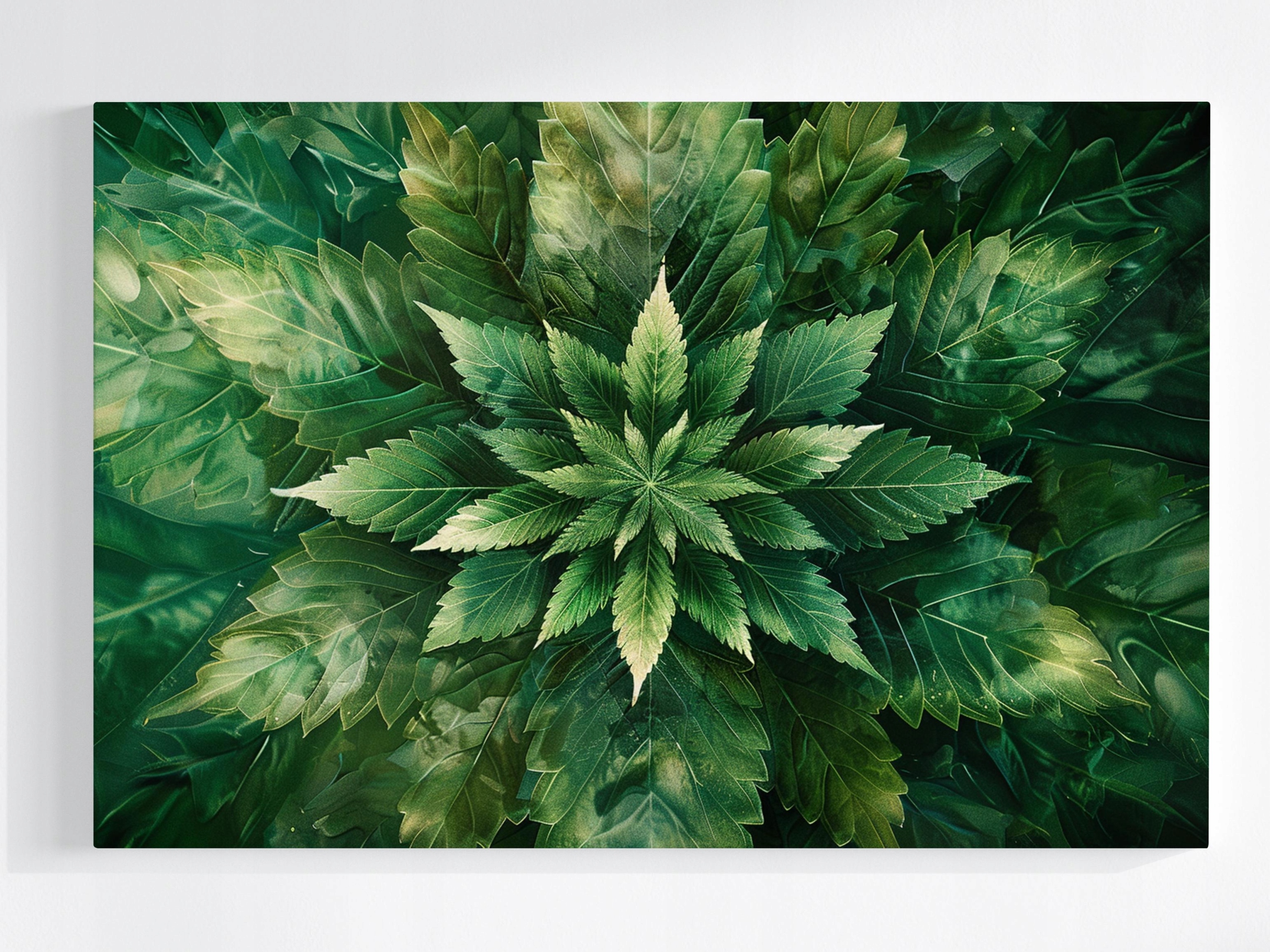 Obraz Na Plátně Canvas Mandala List Konopí Zelená Příroda Botanika 80x60