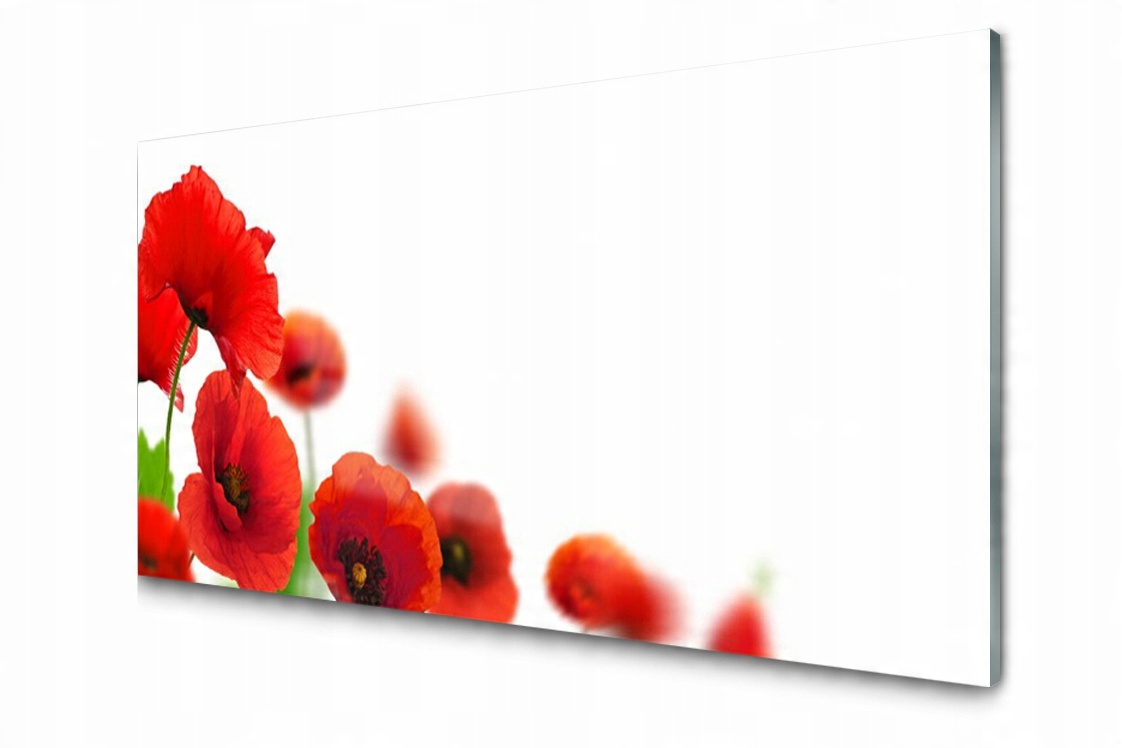 

Panel szklany dekor Maki Roślina 120x60 + Klej