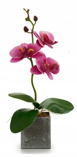 

Storczyk sztuczne kwiaty Orchidea 27 cm Hiszpania