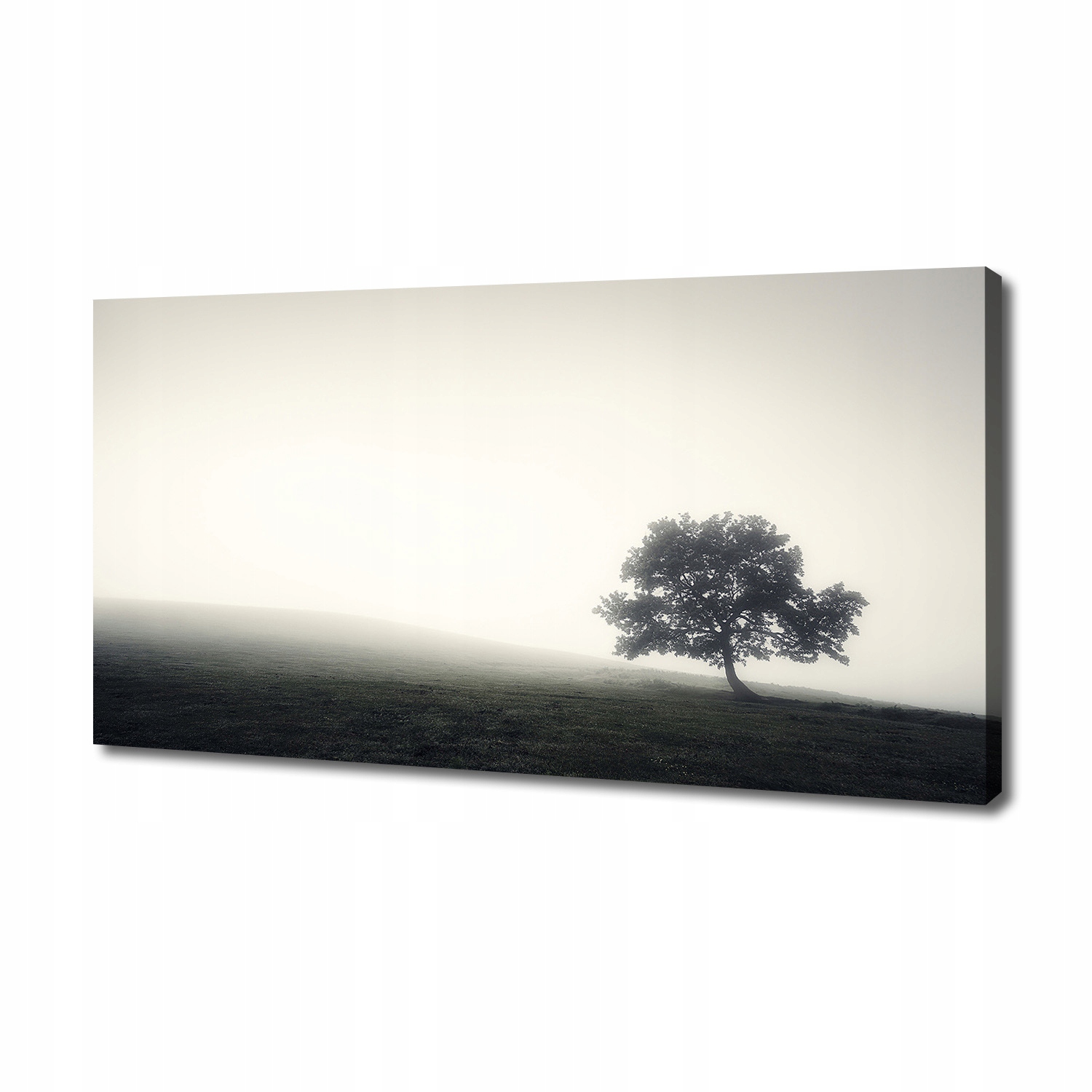 

Foto obraz na płótnie Samotne drzewo 140x70 cm