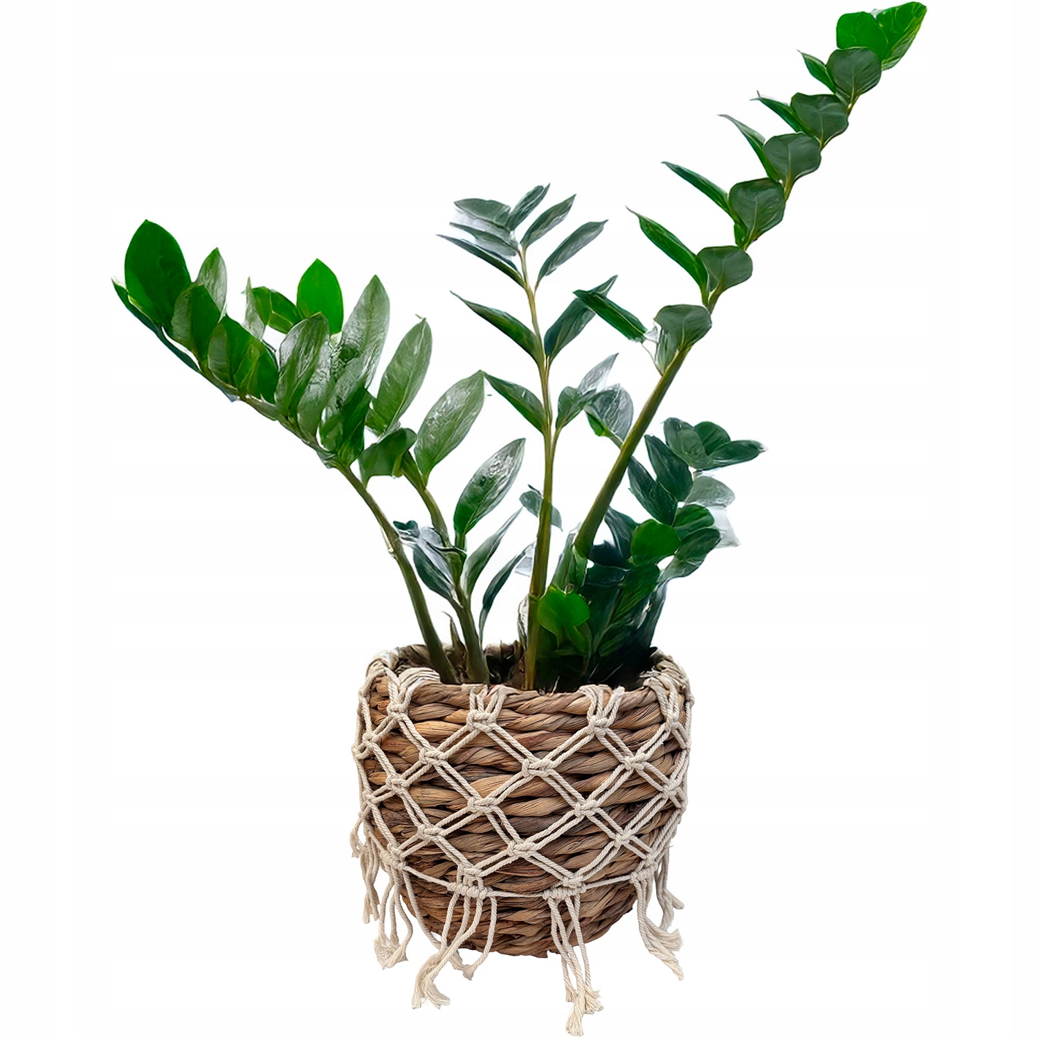 Květináč Makramé 28 cm velký boho přírodní na balkon terasu parapet obal na květináč