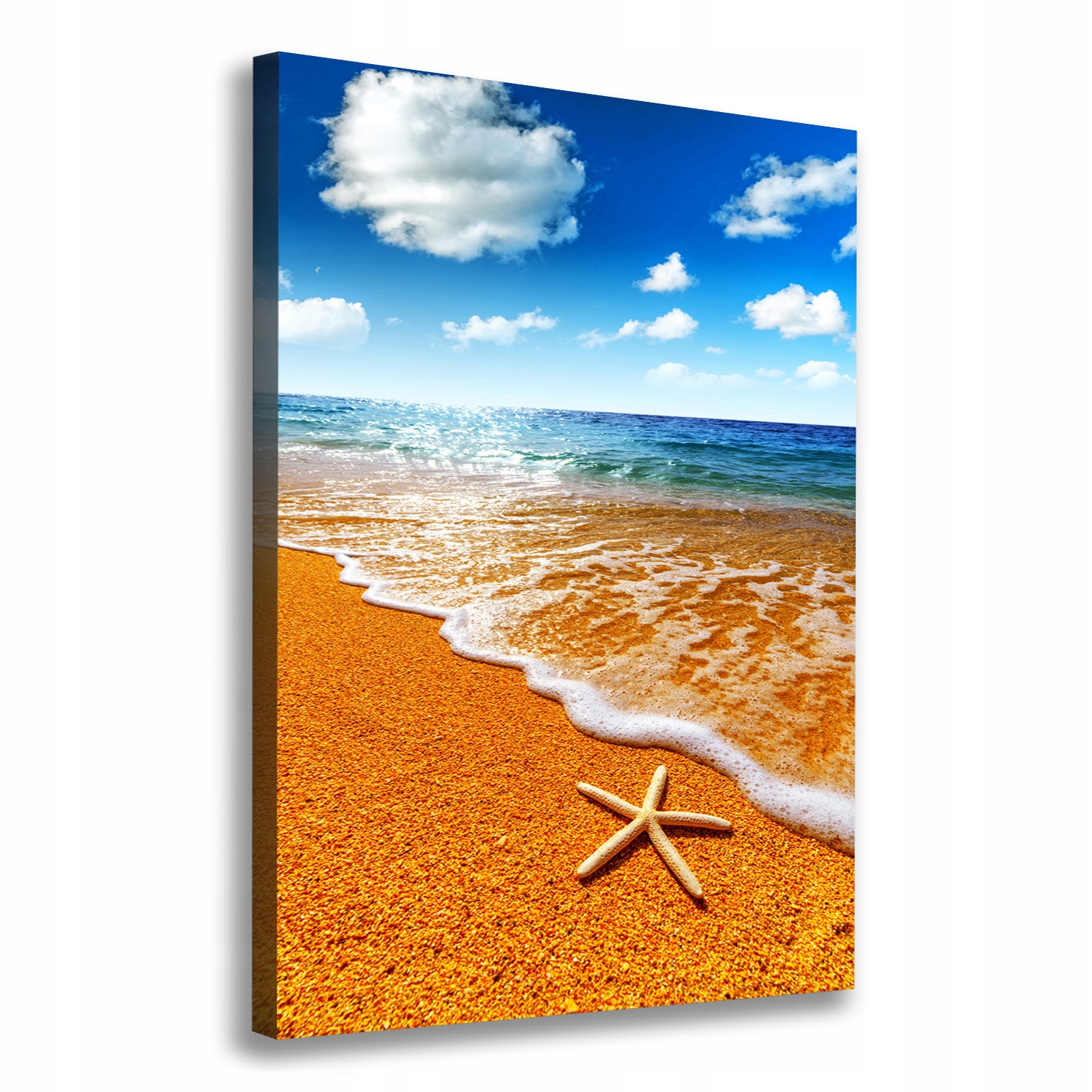 

Foto obraz na płótnie Rozgwiazda na plaży 70x100cm