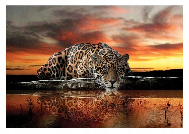 

Fototapeta Gepard Tygrys Jaguar Safari 3D 312x219