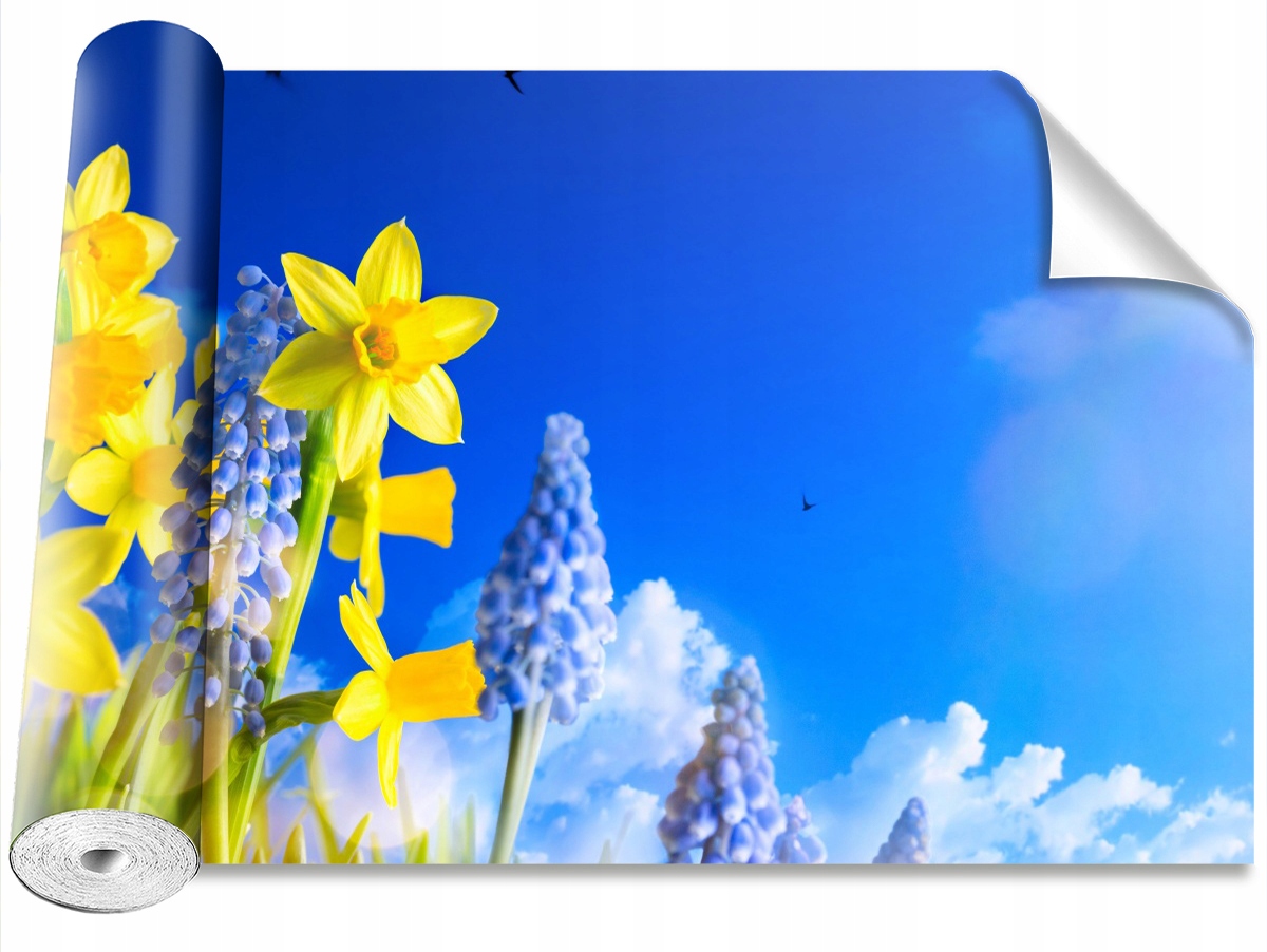 

Tapeta Samoprzylepna Żonkil Niebieski 312x219