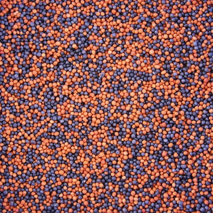 Maczek Cukrowy POMARAŃCZOWO-CZARNY Posypka 50 g