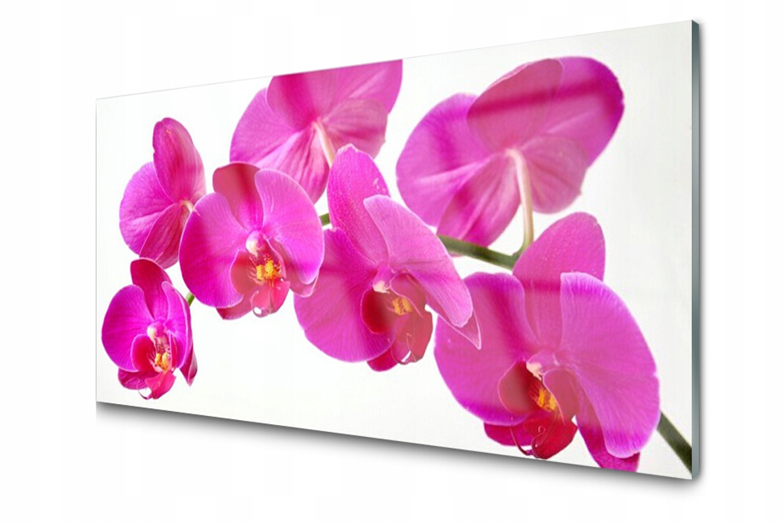 

Panel szklany dekor Kwiaty Roślina 120x60 + Klej